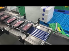 Automatische Vlakke Etiketteringsmachine